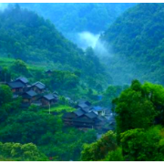 泸溪芭蕉坪村，一个让人心头牵挂的地方