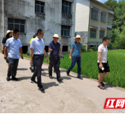 “把脉开方”助力乡村振兴——湖南专家团考察指导泸溪县石榴坪乡旅游发展蓝图