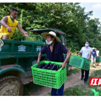 永顺：毛坝乡筹集物资支援桑植县上洞街乡