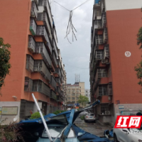 狂风暴雨后龙山消防多处排险 竭力保障民生