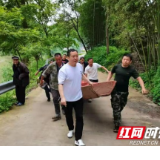 鱼虾成群正当时——泸溪县沅江流域禁捕退捕初战告捷侧记