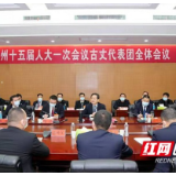 虢正贵参加古丈保靖代表团审议