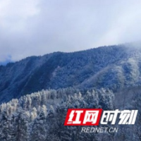 雪中白云山 依然那么美——白云山国家级自然保护区工作侧记