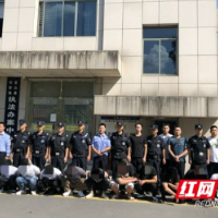 龙山：反诈民警的8760个小时