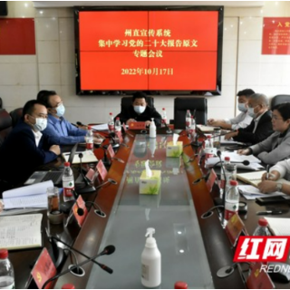 湘西州直宣传系统集中学习党的二十大报告