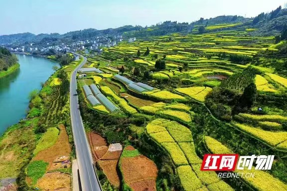图片21.jpg 图片21.jpg