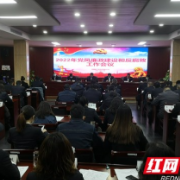 国网泸溪县供电公司召开党风廉政建设和反腐败工作会议
