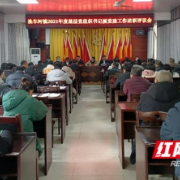 龙山县洗车河镇：述职评议交答卷 凝心聚力谱新篇