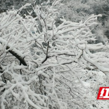 组图丨永顺：雪落山寨