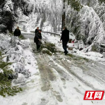 以雪为令，龙山县全力抗击冰雪