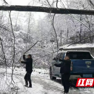 中国石化湖南石油分公司工作队：积极助力村民应对暴雪天气