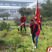 湘西州政协机关履“植”尽责 线下植绿云上晒绿