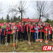 湘西州、吉首市住建局（人防办）开展“绿化高铁沿线，建设生态湘西”义务植树活动