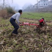 永顺县松柏镇：万民乐业闹春耕