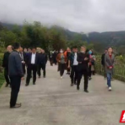 吉首市丹青镇：在乡村振兴中奉献人大力量