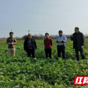 花垣县农业农村局抢抓农时服务生产