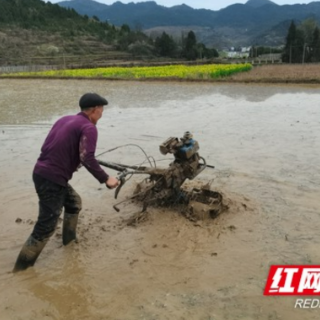 永顺县松柏镇：家家户户忙春耕