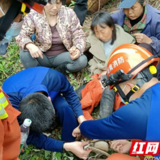 女子采蕨菜脚被“咬” 泸溪消防徒步进山救援