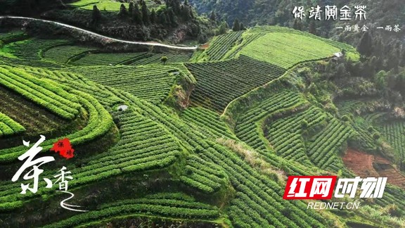 图片3.marked.jpg 图片3.marked.jpg