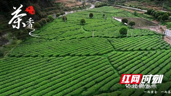 图片1.marked.jpg 图片1.marked.jpg