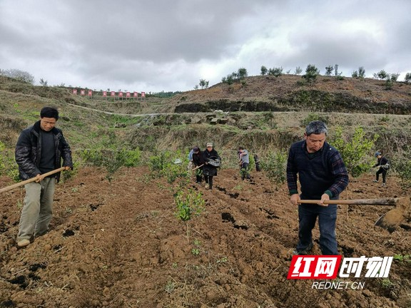 图片2.marked.jpg 图片2.marked.jpg