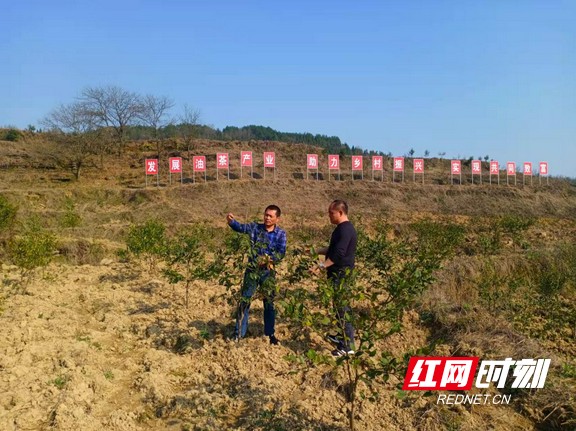 图片3.marked.jpg 图片3.marked.jpg