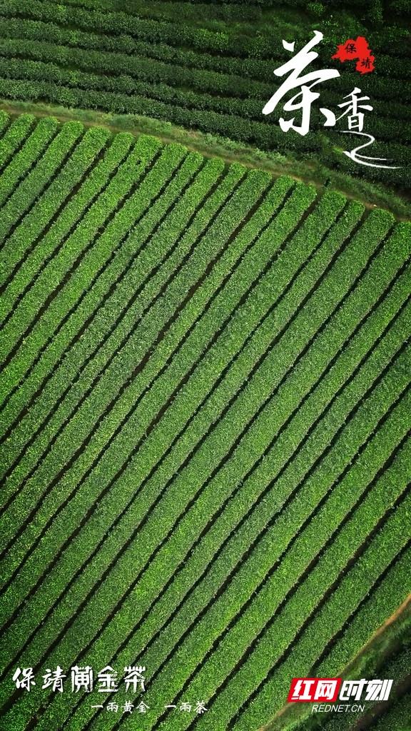 图片6.marked.jpg 图片6.marked.jpg