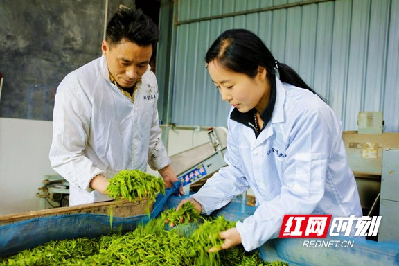 图片2.marked.jpg 图片2.marked.jpg