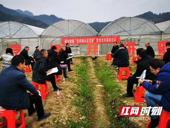 图片4.marked.jpg