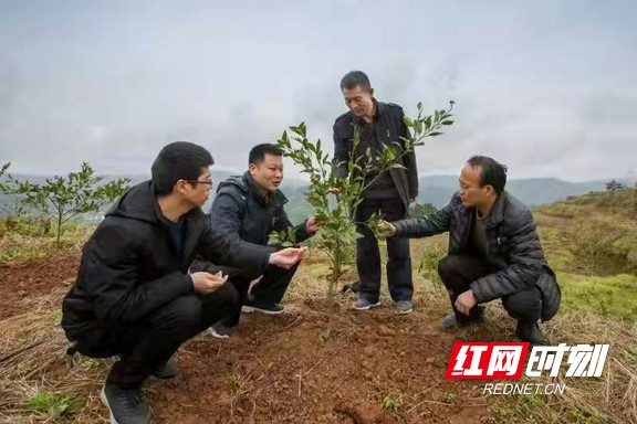 图片10.marked.jpg