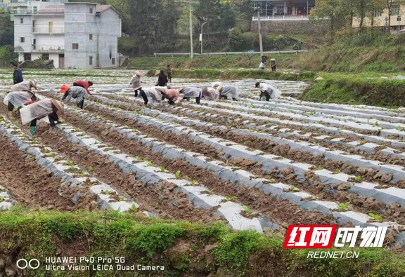 图片11.marked.jpg