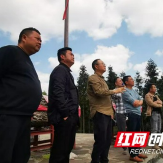 保靖：科技特派员“零距离”赋能乡村振兴产业发展