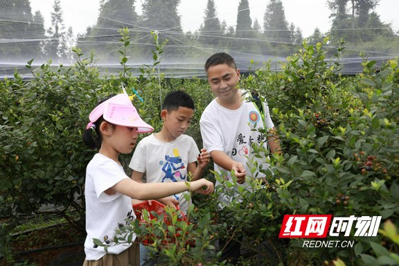 图片4.marked.jpg