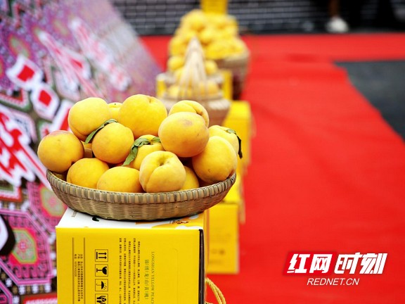 图片25.marked.jpg