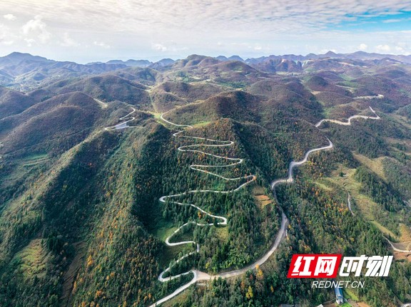 图片12.marked.jpg