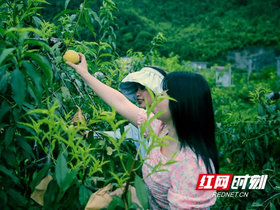 图片22.marked.jpg