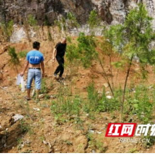 永顺县松柏镇：生态修复踩点划线
