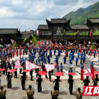 寻秦之旅赏民族之艺 旅游采风团走进龙山里耶古镇