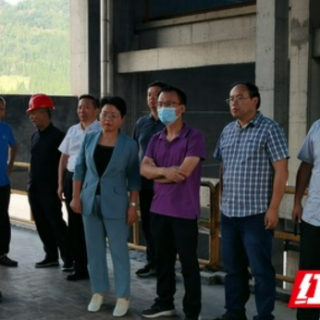 湖南省第四生态环境保护专项督察组下沉督察保靖县“利剑”行动工作