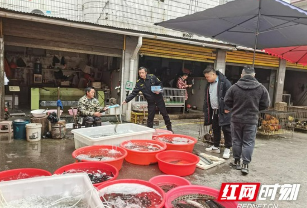 花垣：杜绝非法水生野生动物上餐桌在行动