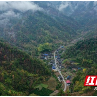 散文丨山脚的阳光