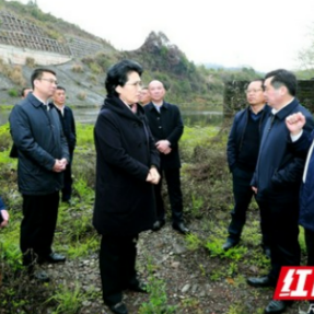 陈华到吉首市调研时要求：持续改善水环境 全面恢复水生态