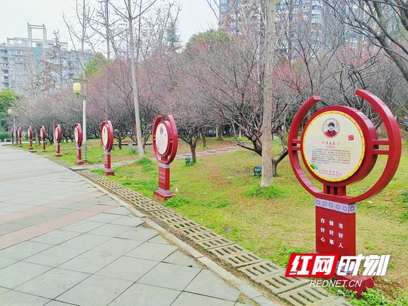 图片13.marked.jpg