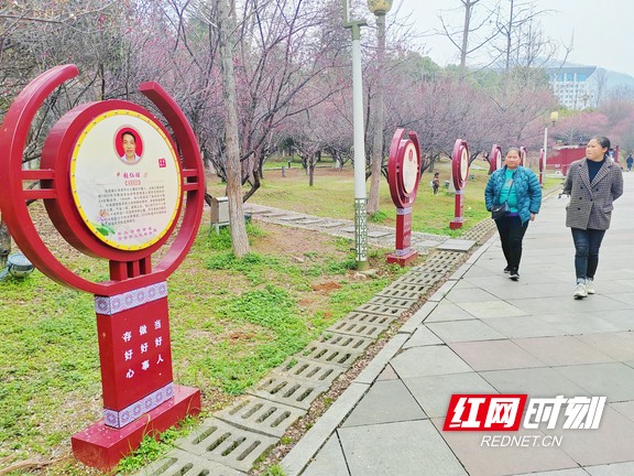 图片12.marked.jpg