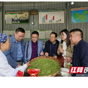 湘西州茶协组织开展茶企办理SC证上门指导工作