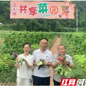 拾趣夏日 吉首市补点村青青河弯共享菜园开园