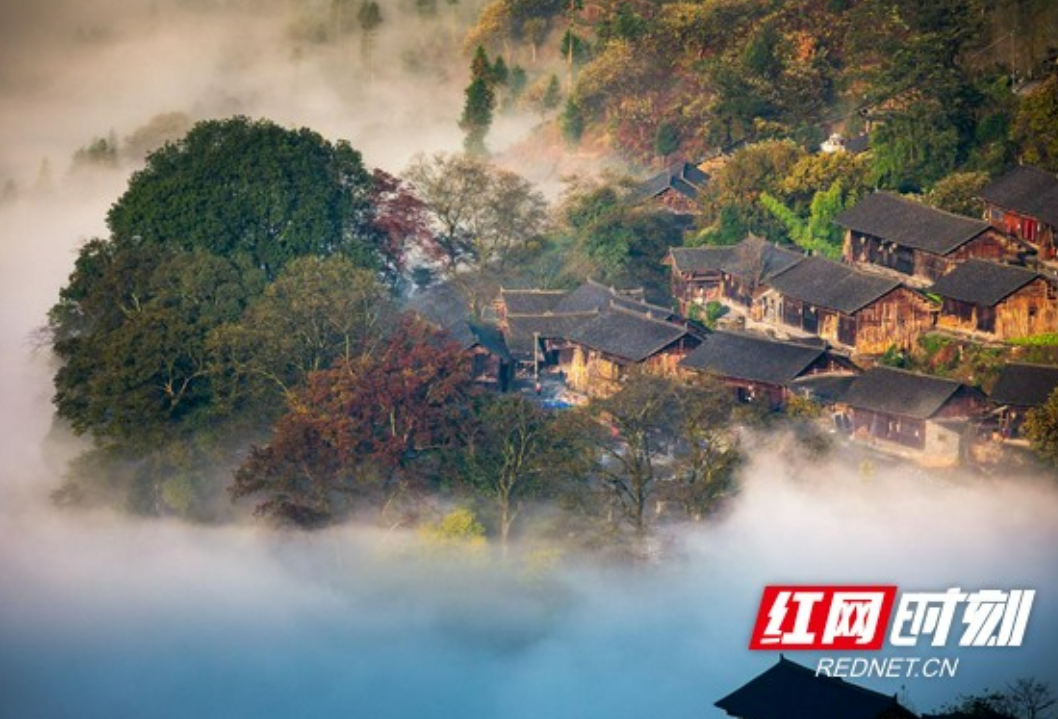 走进和美乡村·幸福庭院③丨保靖县吕洞村：苗族圣山秘境 氤氲诗情画意