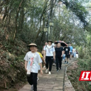 当全民健身与绿水青山相遇！亲子徒步健身活动助力乡村振兴