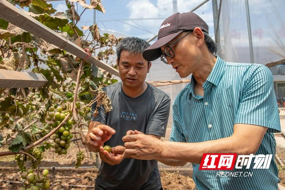 泸溪县：三级科技专家联动服务助力灾后恢复生产