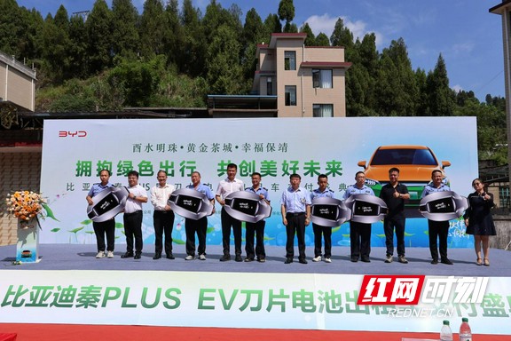 图片5.marked.jpg